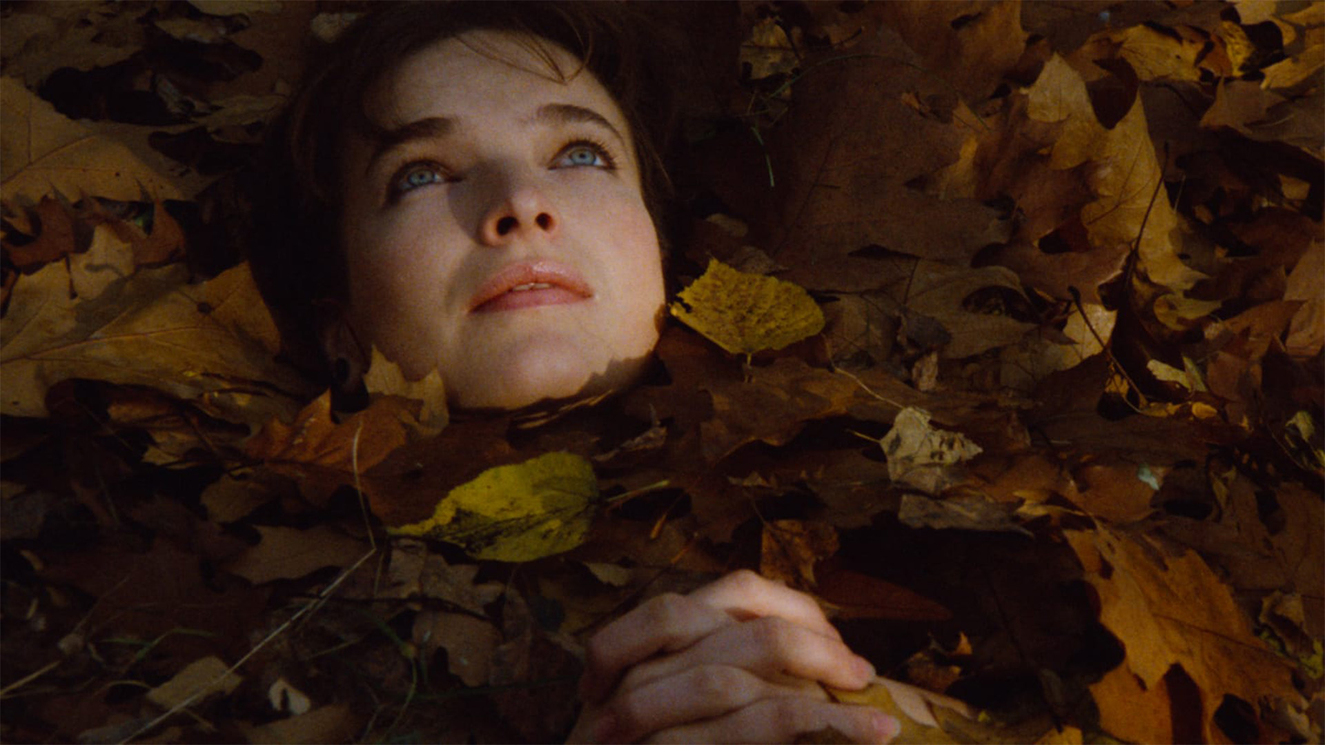 Sevgililerime Günce görsel 0